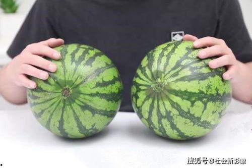 吃西瓜吃大瓜,尽享夏日清凉
