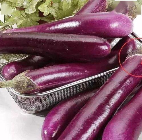 茄子视频吃瓜热门,热门吃瓜话题盘点