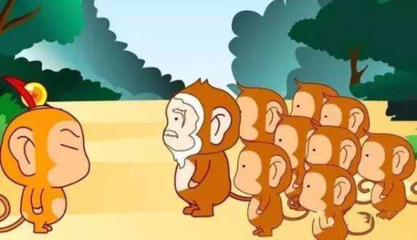 猴王吃瓜故事表演视频,一场欢乐的吃瓜盛宴