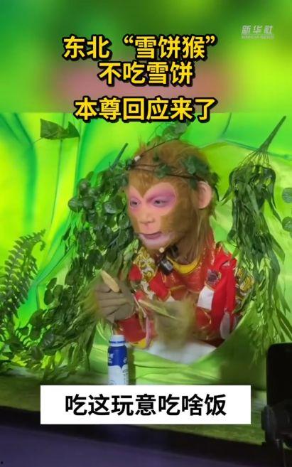 猴王吃瓜故事表演视频,一场欢乐的吃瓜盛宴