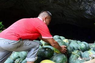 吃瓜哥郴州,揭秘这座城市的美食与风情