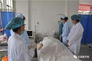 在医院实习吃瓜,一场别开生面的“吃瓜”之旅