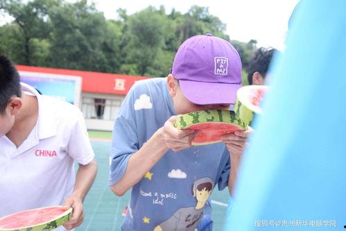 家长吃瓜大赛,一场趣味横生的家庭教育盛宴