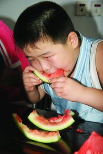 家长吃瓜大赛,一场趣味横生的家庭教育盛宴