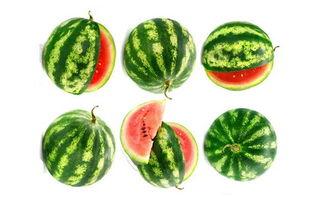 小景吃瓜了,揭秘娱乐圈幕后故事