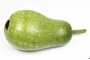 月下在线吃瓜,揭秘网络吃瓜文化的魅力与争议