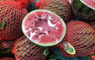 月下在线吃瓜,揭秘网络吃瓜文化的魅力与争议