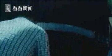 司机吃瓜反应视频